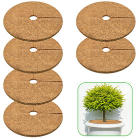 Zeedix coconut mulch ring 6-pack keeps soil tidy and weeds down for potted plants.