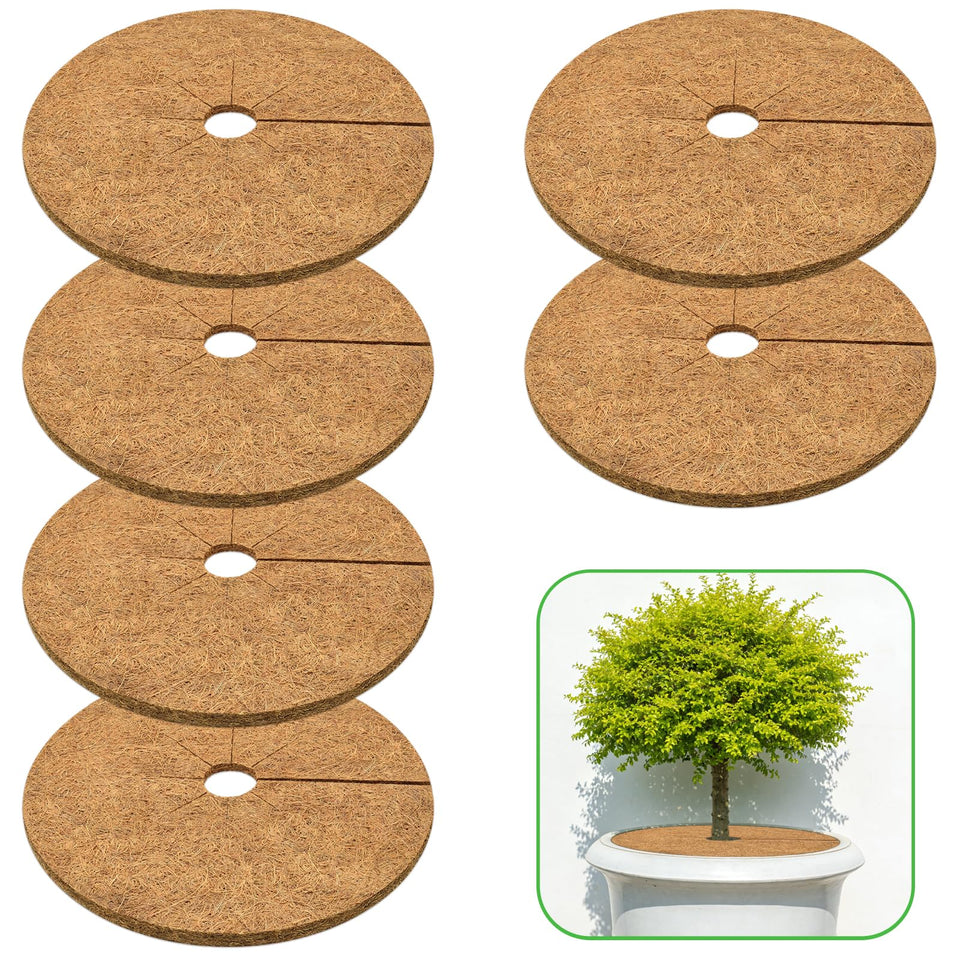 Zeedix coconut mulch ring 6-pack keeps soil tidy and weeds down for potted plants.