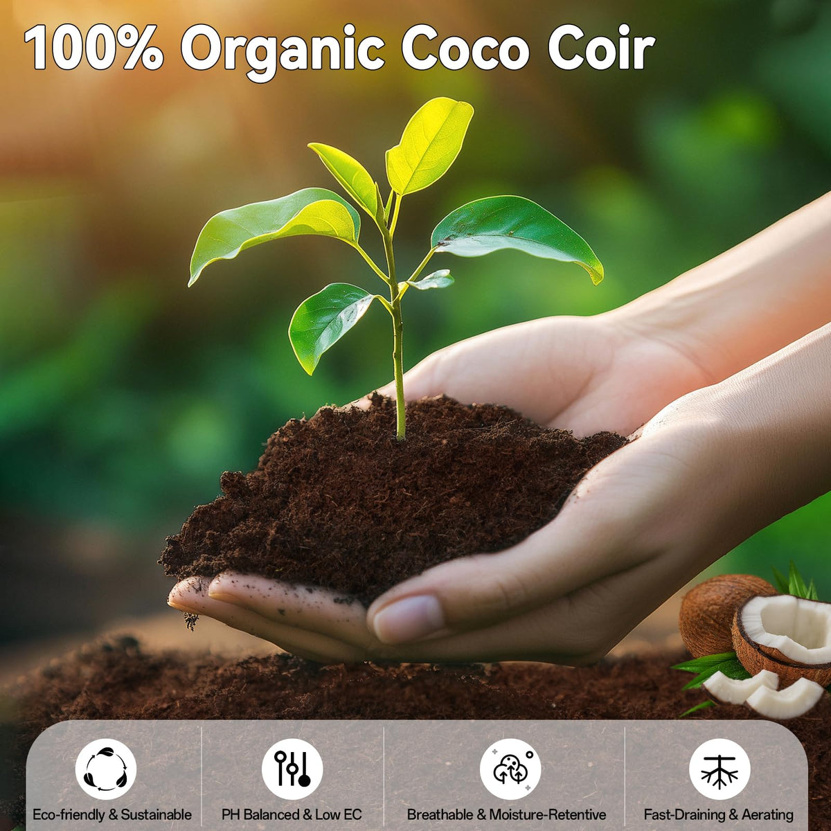 ZeeDix coco coir pellets expanding into lightweight seed starter soil after soaking.