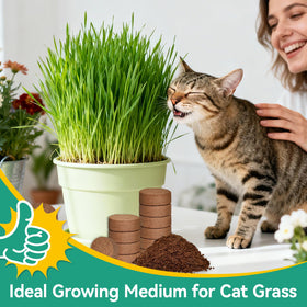 ZeeDix coir substrate suitable for reptiles and amphibians.