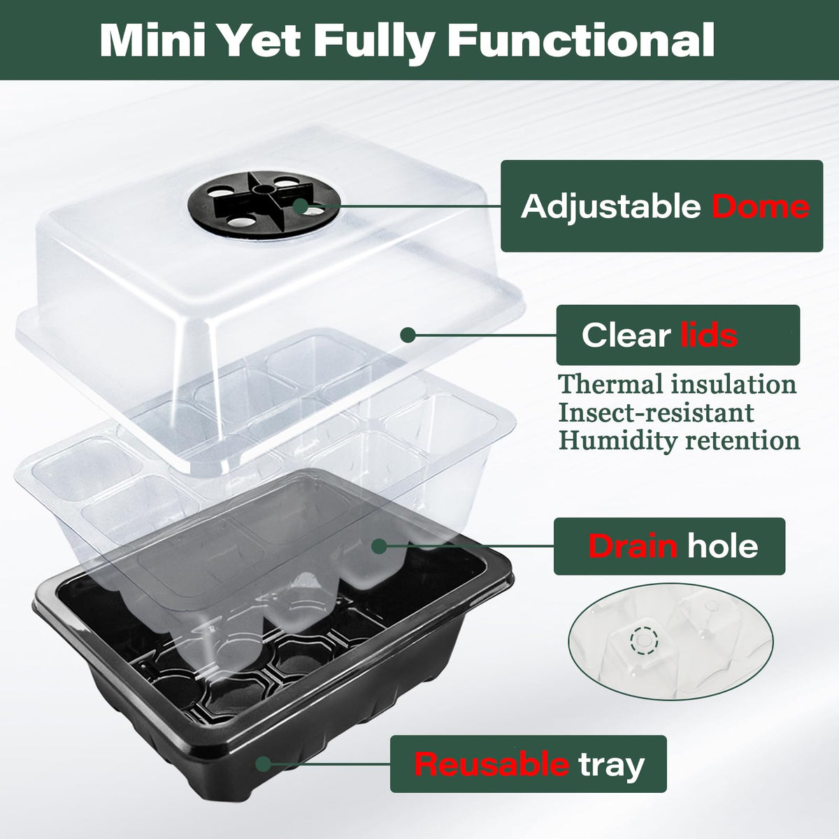 Clear ZeeDix dome lid providing humidity control for germination.