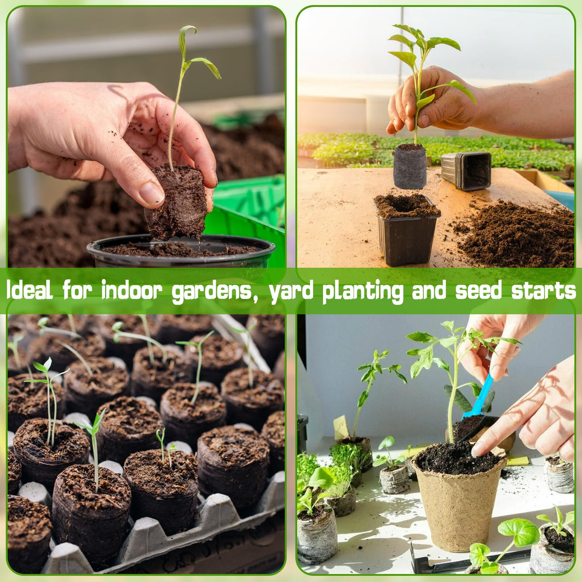 ZeeDix seed starter enables easy transplant into a planter