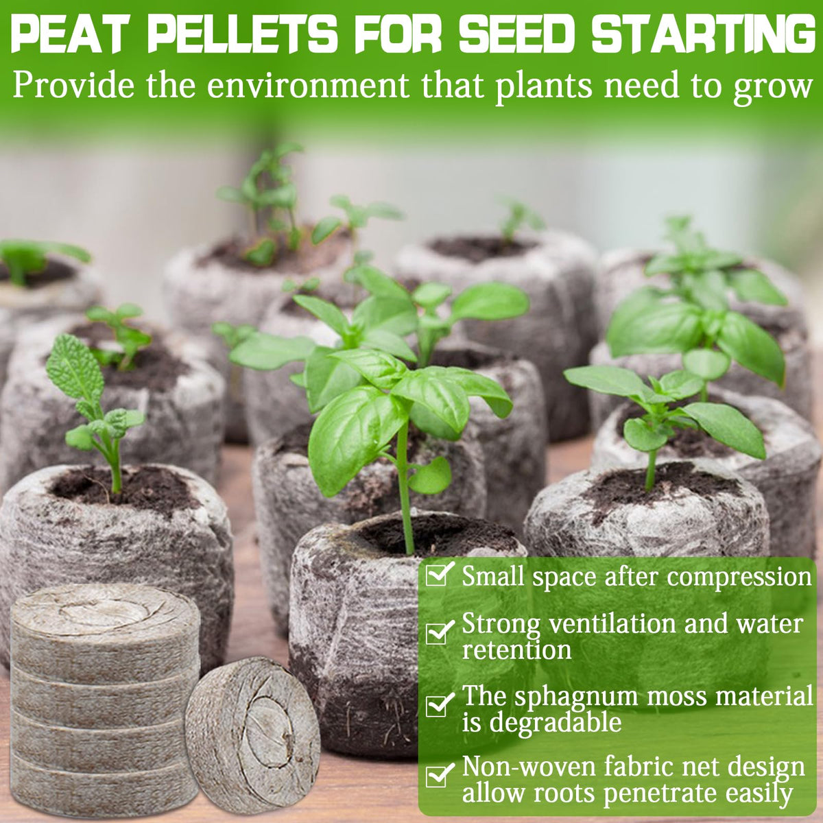 ZeeDix peat pellet expands after watering to 1.4 inches