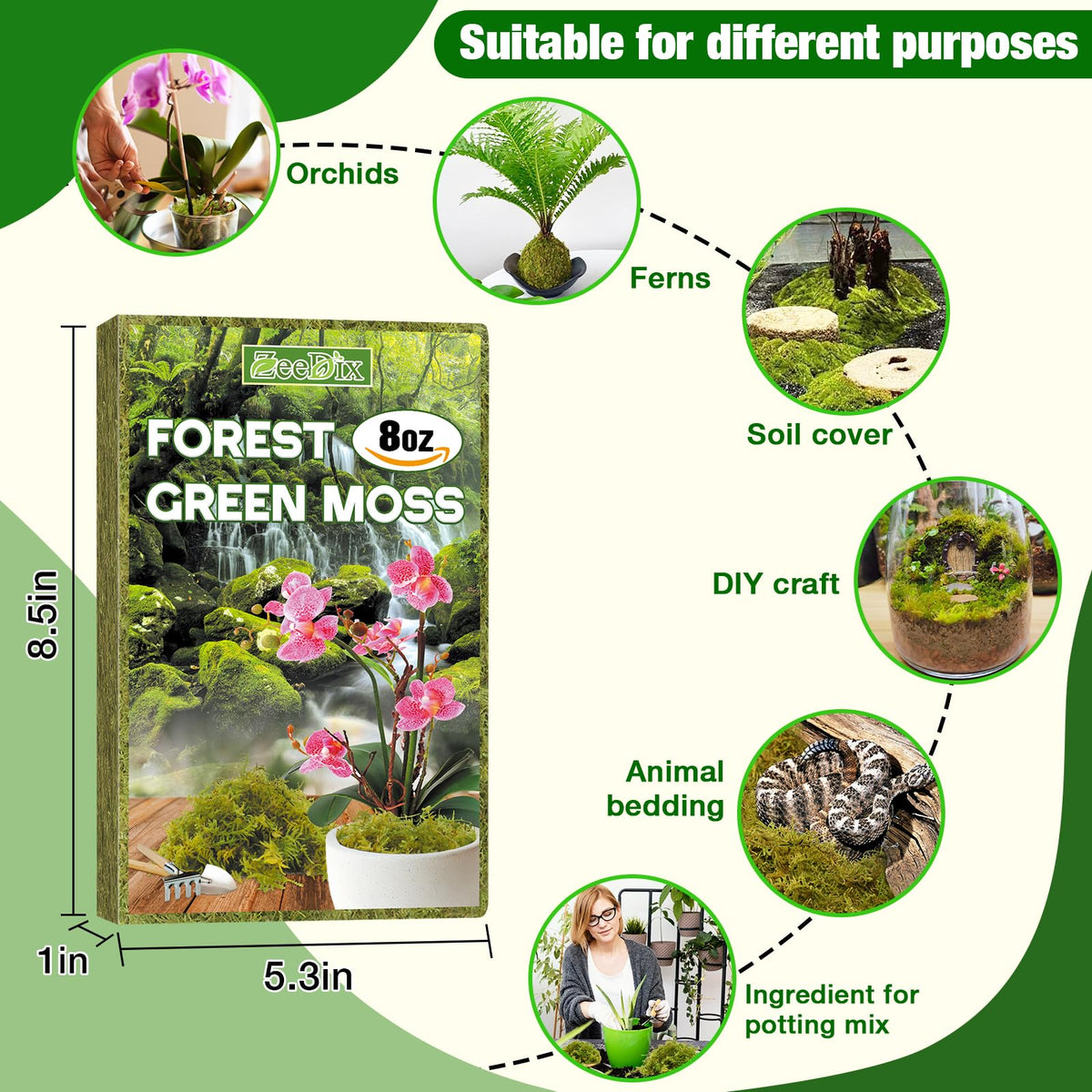 ZeeDix Forest Moss enhances crafts like wreaths and kokedama.