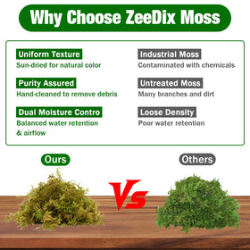 ZeeDix Forest Moss repotting layer aids drainage and root protection.