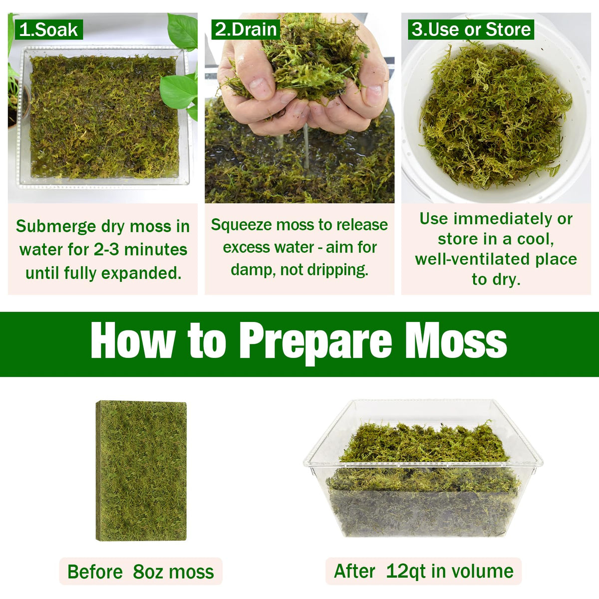 ZeeDix Forest Moss safe for reptile habitats and non-toxic terrariums.