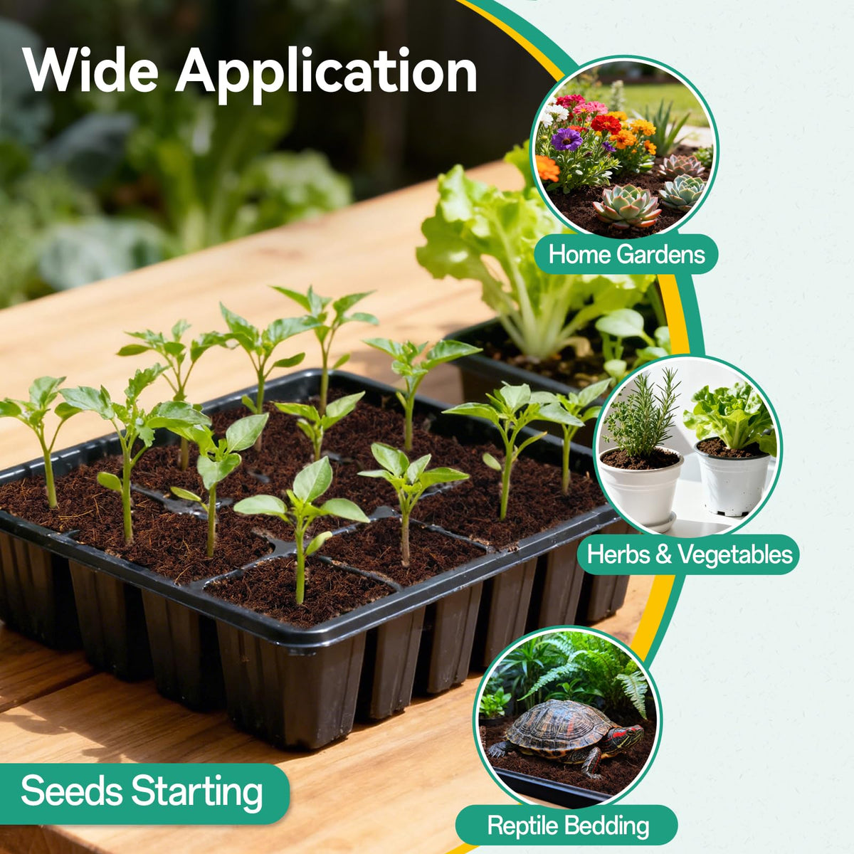 ZeeDix versatile coconut soil supports vegetables, herbs, and flowers.