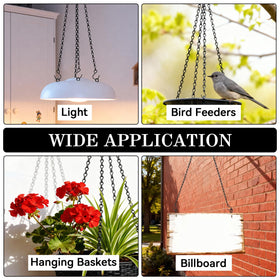 ZeeDix lantern and bird feeder display using stylish black chain.