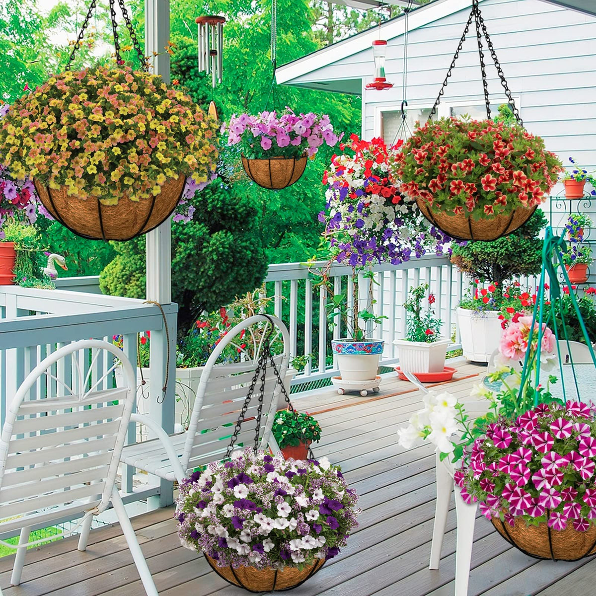 ZeeDix liner supports soil and roots in urban balcony setups.