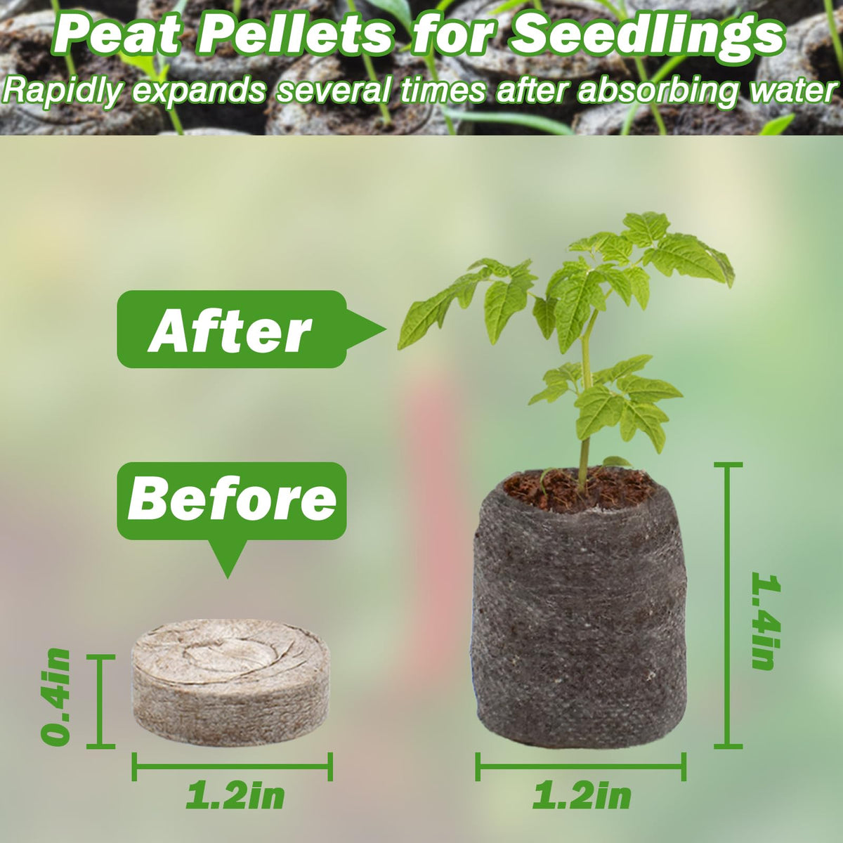 ZeeDix net bag compressed nursery block showing expansion after watering for vibrant seedlings.