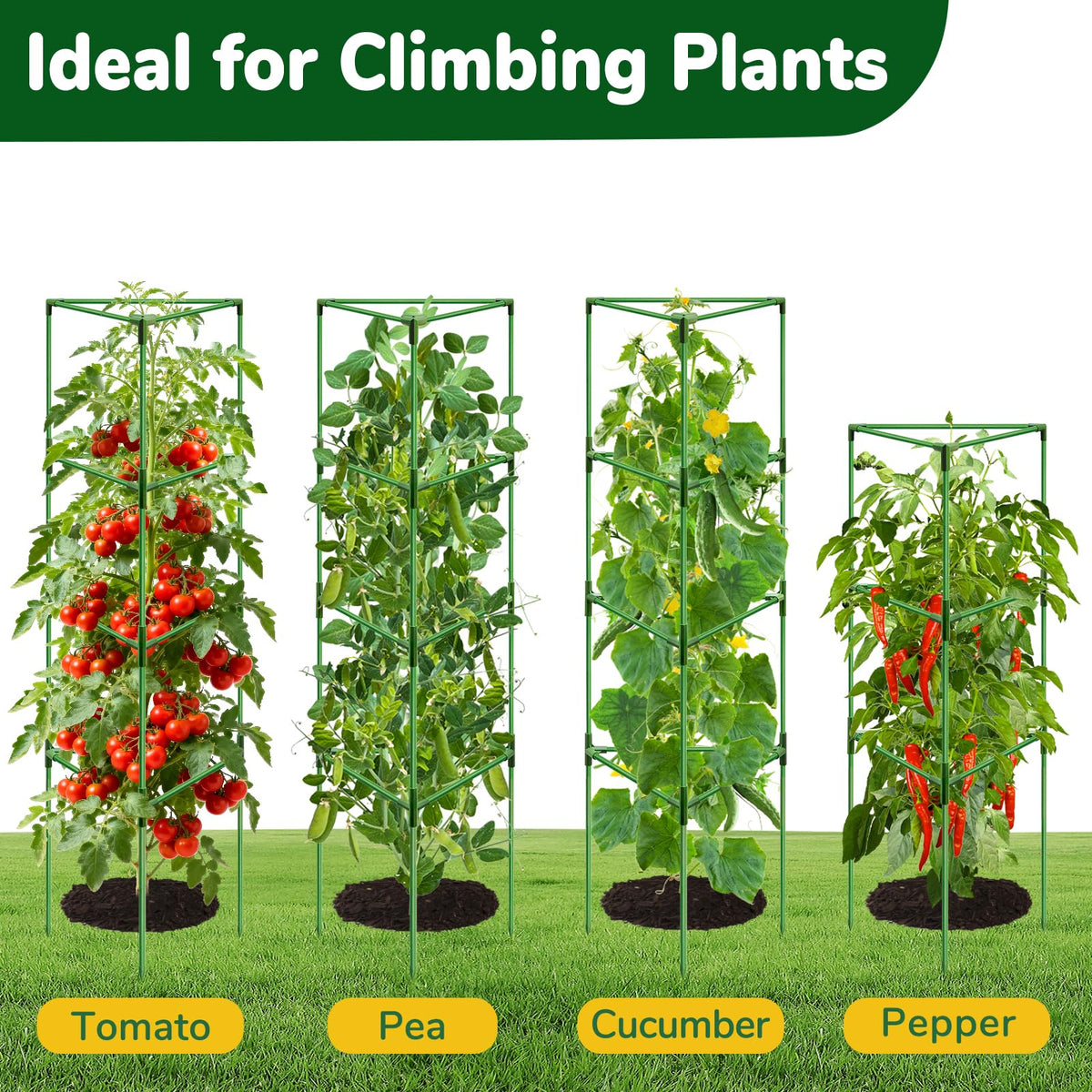 ZeeDix open weave design promotes air circulation and easier harvest.