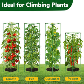 ZeeDix open weave design promotes air circulation and easier harvest.