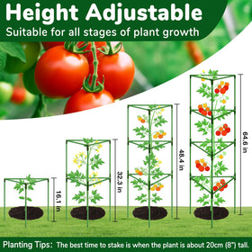 ZeeDix open-weave tomato trellis promotes air circulation for healthy growth.