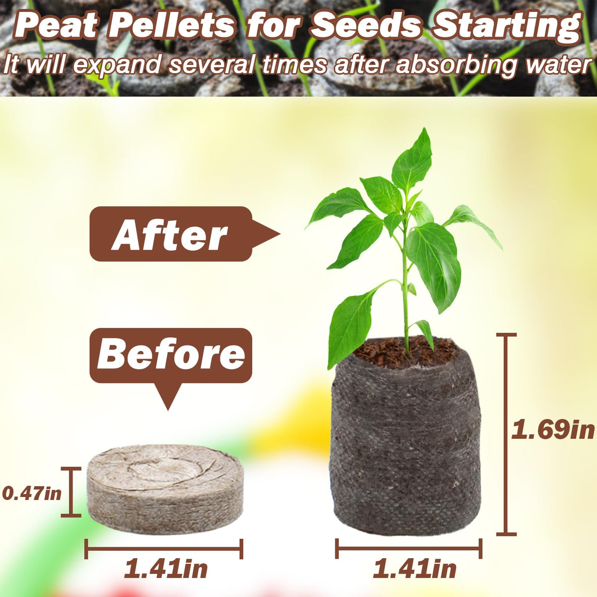 ZeeDix peat pellets absorb water and expand for ready-to-plant seed beds.