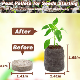 ZeeDix peat pellets absorb water and expand for ready-to-plant seed beds.