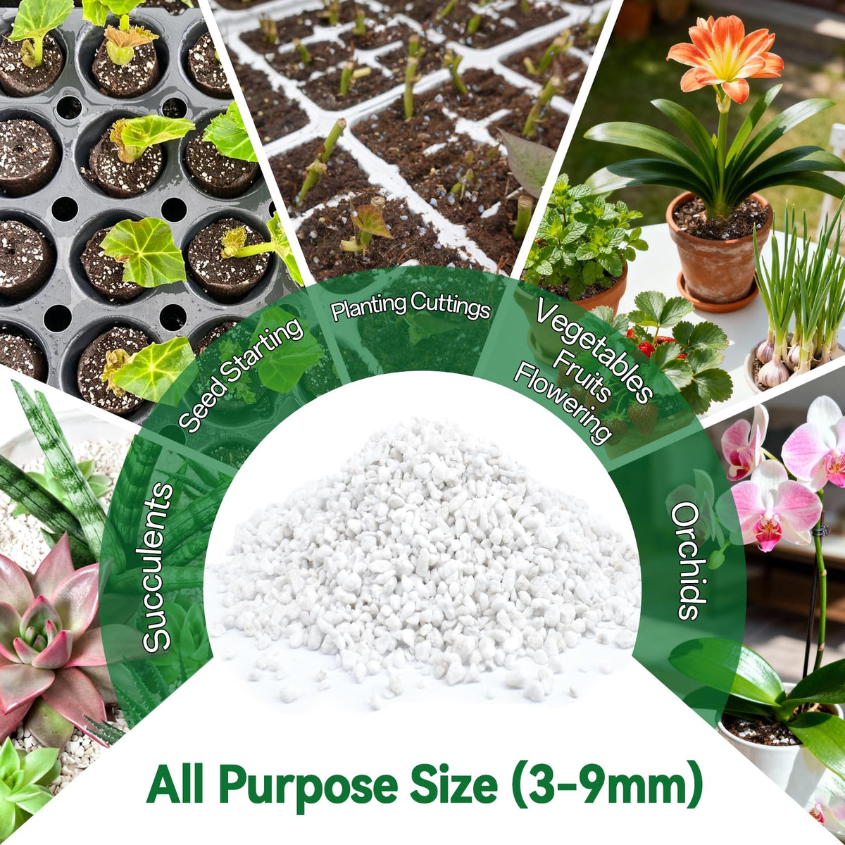 Zeedix perlite supports propagation by encouraging new root formation.
