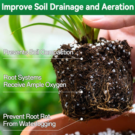 Zeedix perlite lightweight mix supports root growth in indoor and outdoor plants.