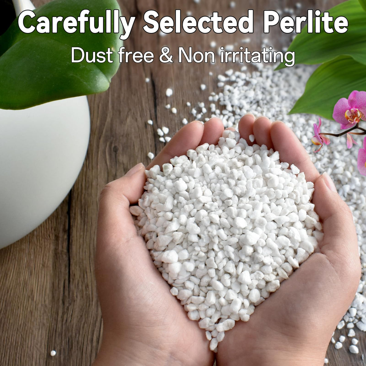 Zeedix perlite bottom-layer option helps prevent waterlogging in potted plants.