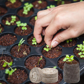 ZeeDix included plant labels help you track germination.