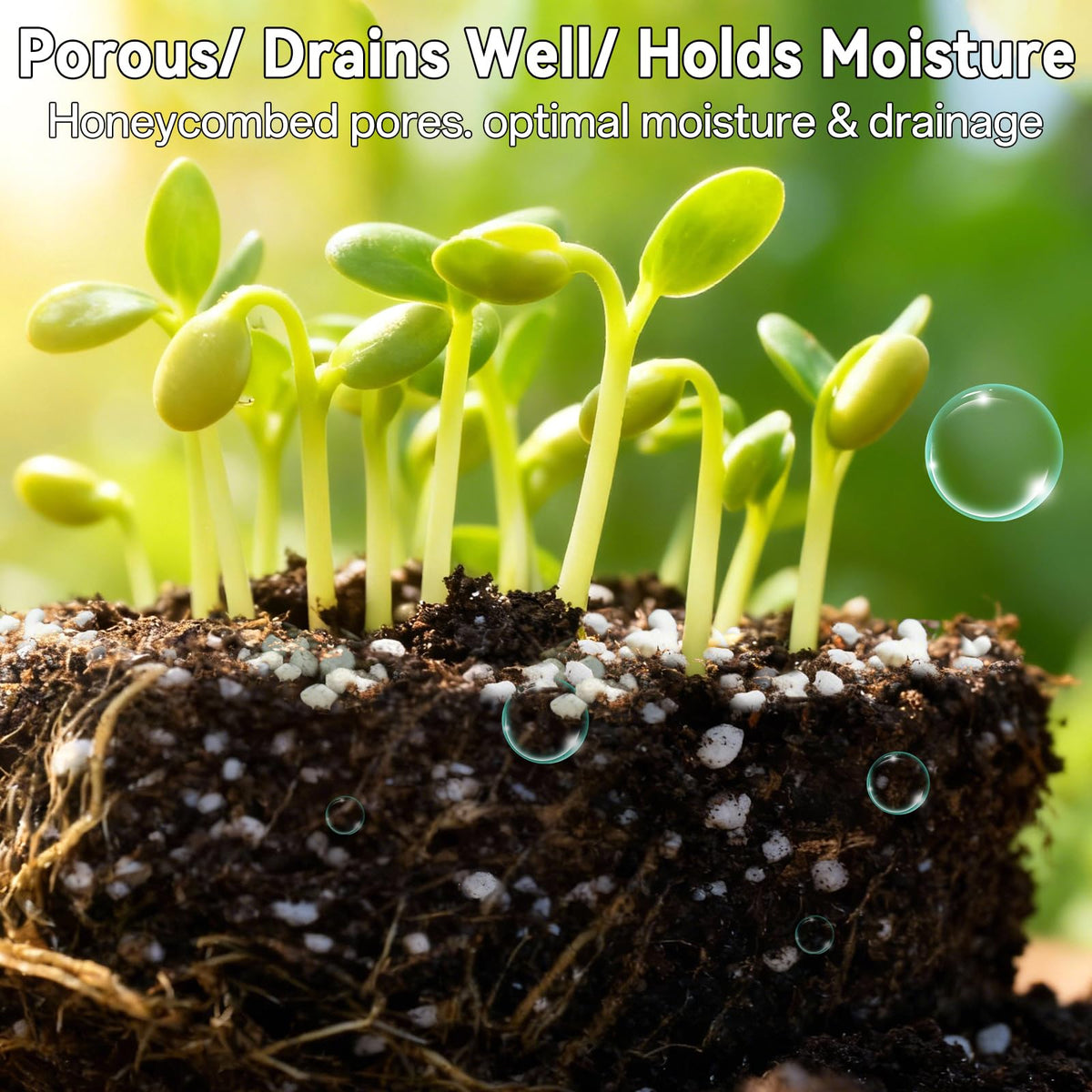 Zeedix potting soil mix for ornamental plants improves moisture balance and stability.