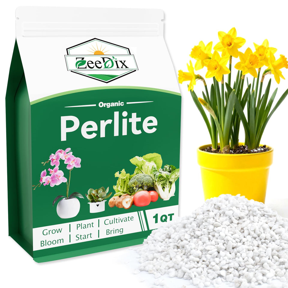 Zeedix Premium Perlite 3-9mm for plants shows porous granules enhancing aeration and drainage in pots.