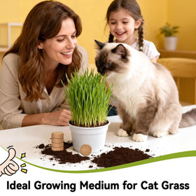 ZeeDix coconut-fiber substrate can also suit reptile terrarium habitats.