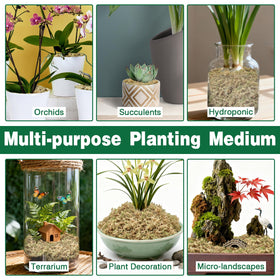 Zeedix seed starting moss keeps seedlings moist for reliable germination