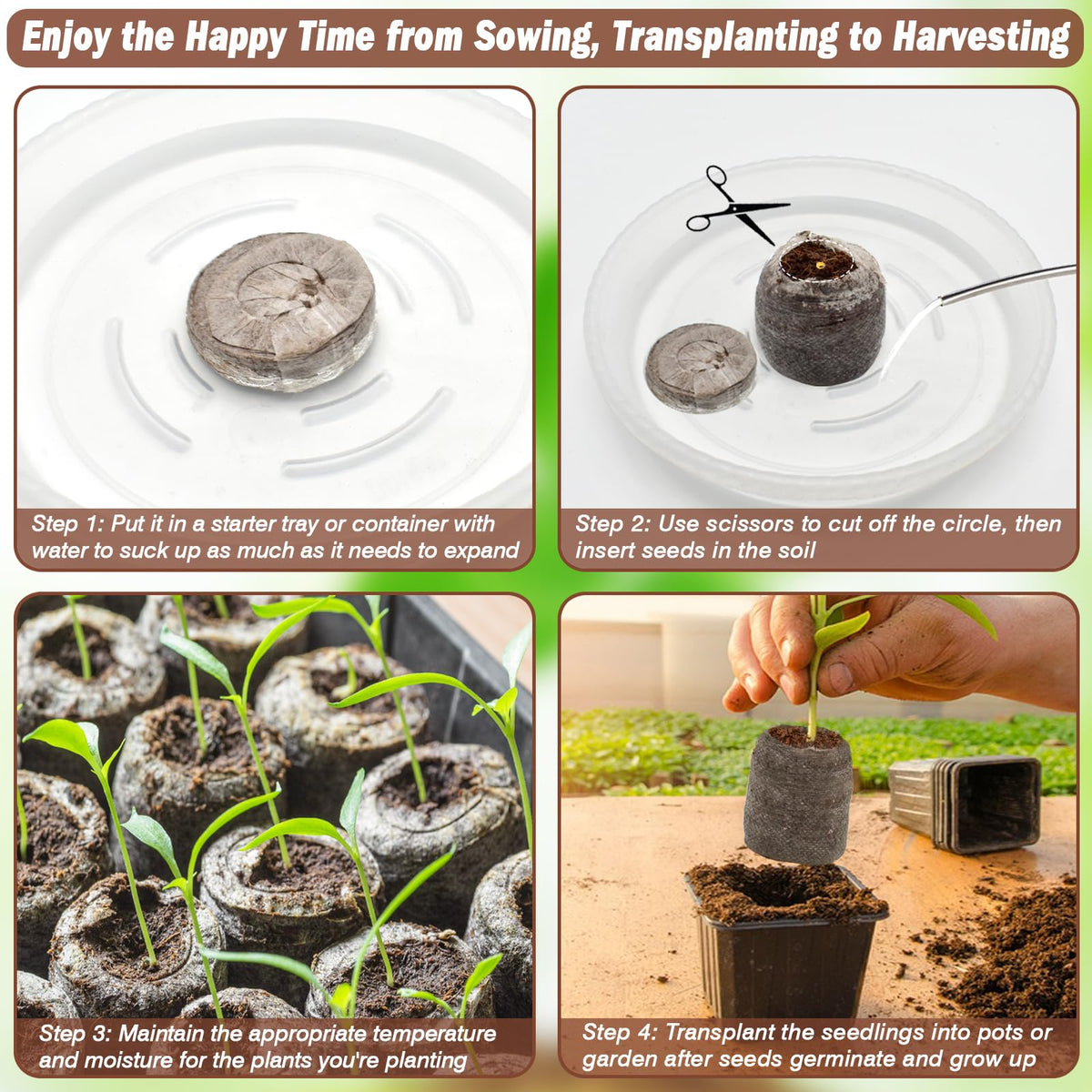 ZeeDix seed starting tray setup for orderly germination and growth.