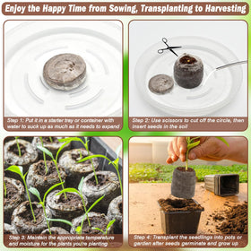 ZeeDix seed starting tray setup for orderly germination and growth.
