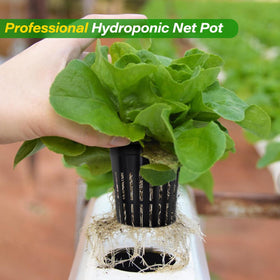 ZeeDix seedling and cloning applications with breathable cups.