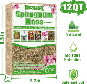 Dried long-fiber ZeeDix sphagnum moss close-up texture for potting
