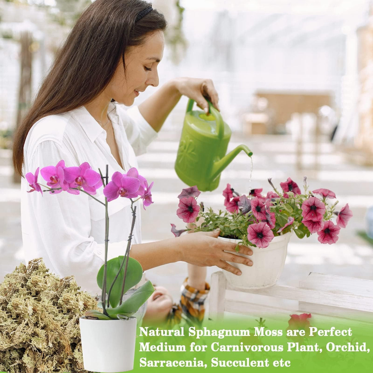 ZeeDix moss supports orchid growth with moisture-retentive medium.