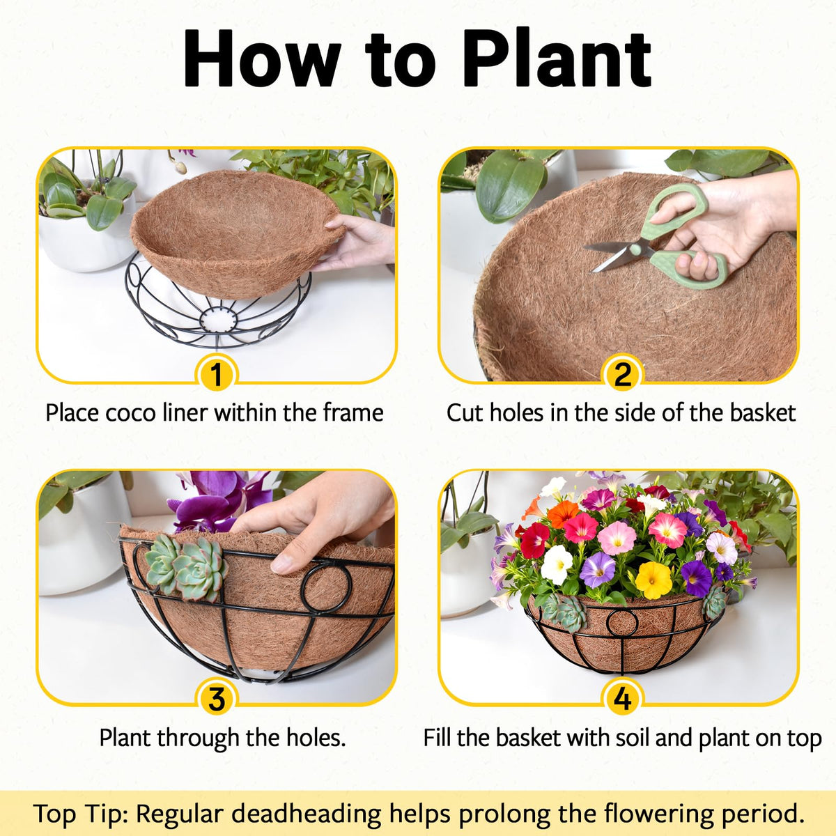 ZeeDix three-chain set supports lightweight to medium plants securely