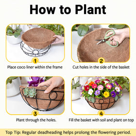 ZeeDix three-chain set supports lightweight to medium plants securely