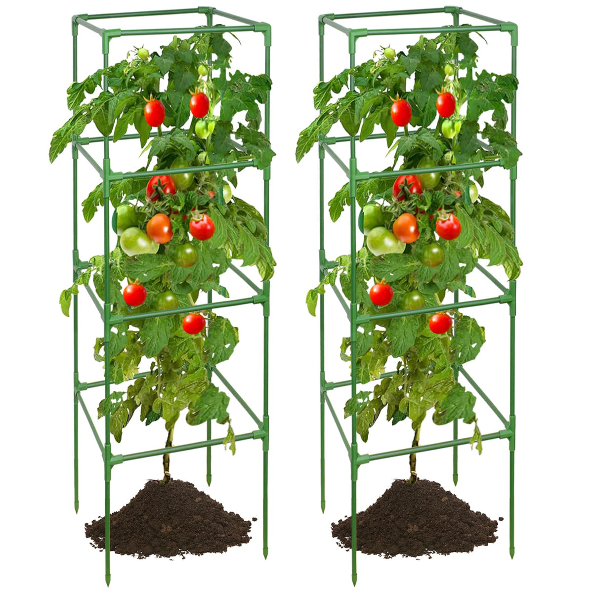 ZeeDix 60 inch adjustable tomato cage in a sunny garden providing strong vertical support