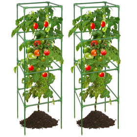 ZeeDix 60 inch adjustable tomato cage in a sunny garden providing strong vertical support