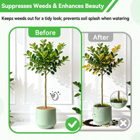 ZeeDix tree ring cuttable to fit different pot sizes
