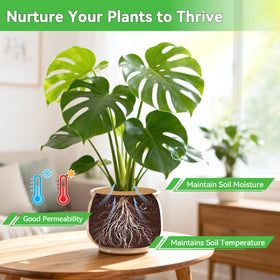 ZeeDix tree ring placed in a pot illustrating easy fit and root coverage