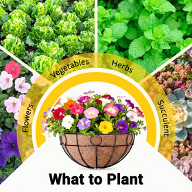 ZeeDix vertical garden planters expand growing space in small areas