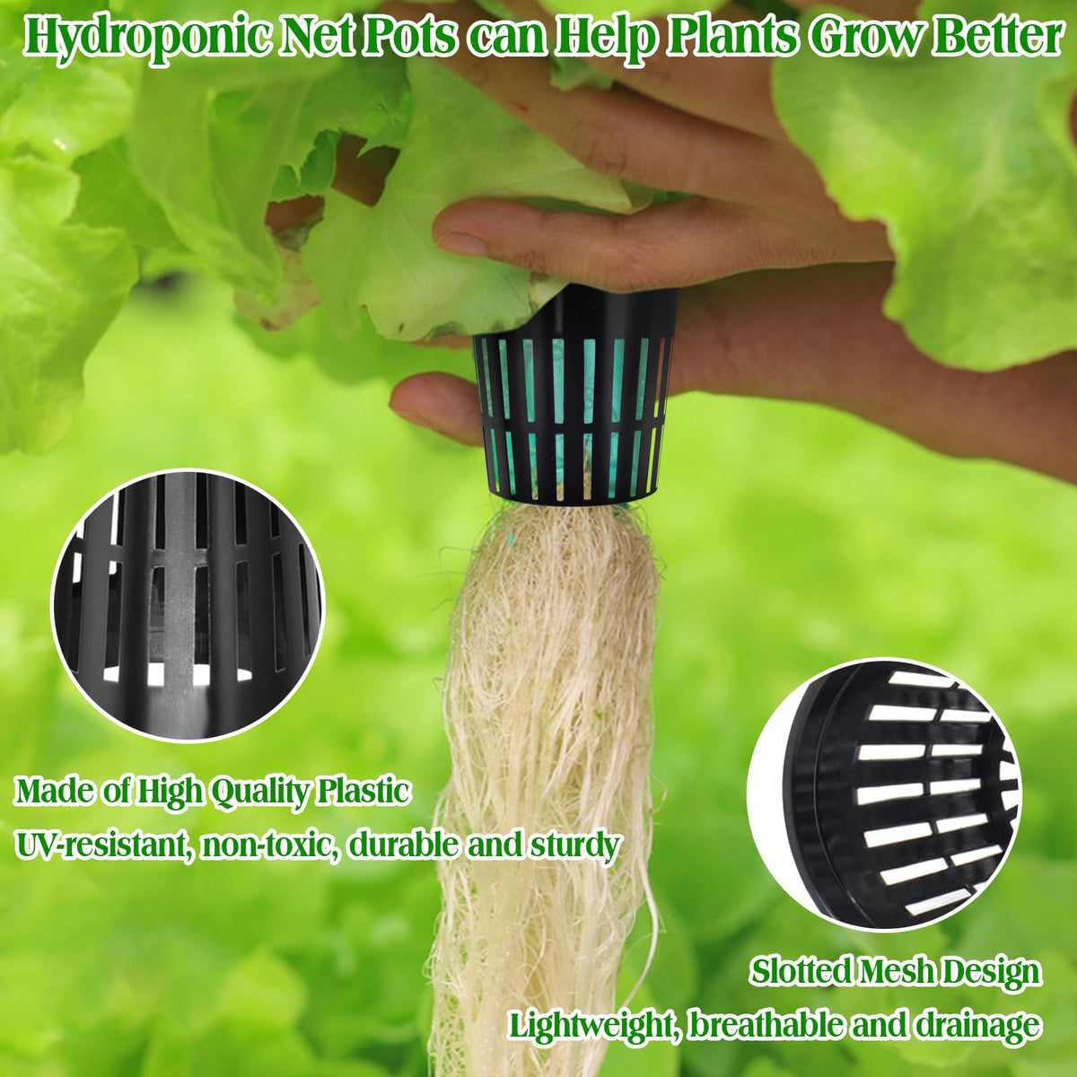 ZeeDix wide lip round basket provides stable growth support.