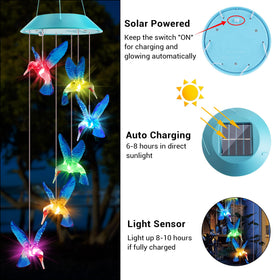 Zeiliuled IP65 waterproof solar lights for all-weather outdoor decor