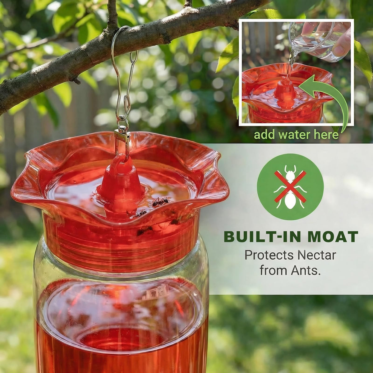 Zelpont feeder features an ant moat on the cap to deter insects