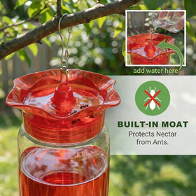 Zelpont feeder features an ant moat on the cap to deter insects