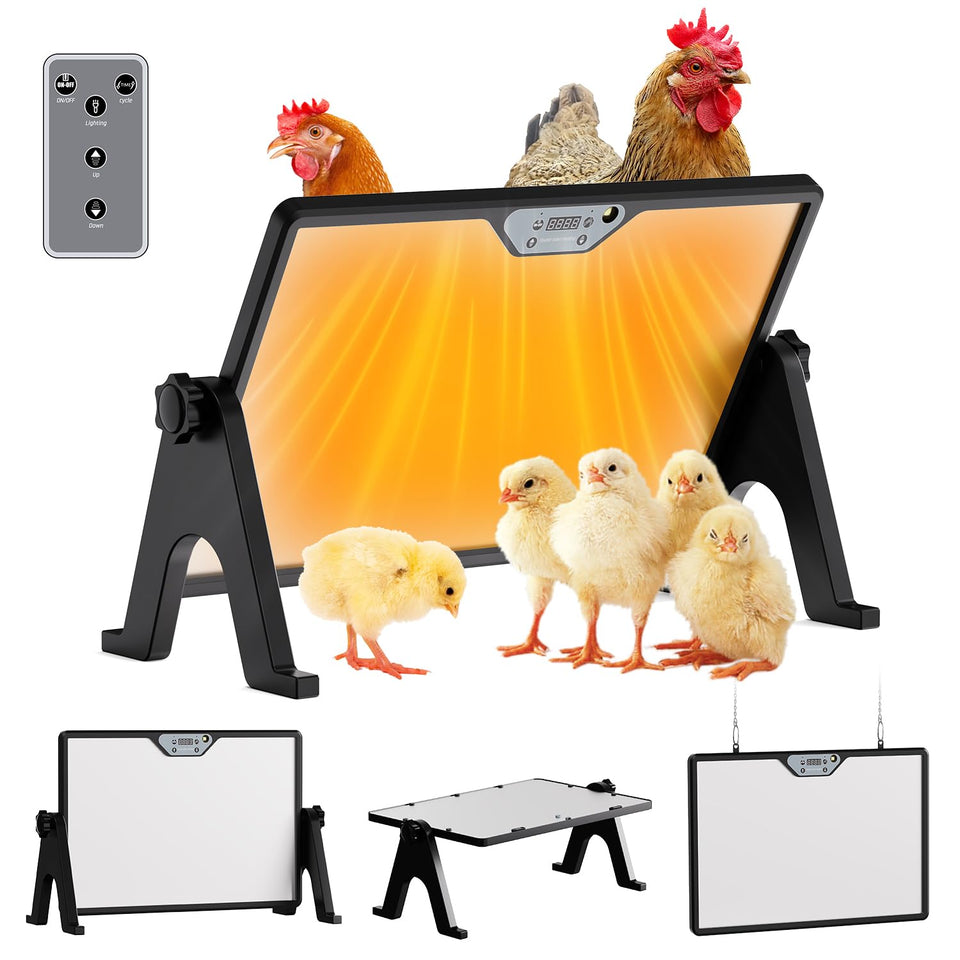 Zelvia brooder plate with temp control display provides precise warmth for growing chicks.