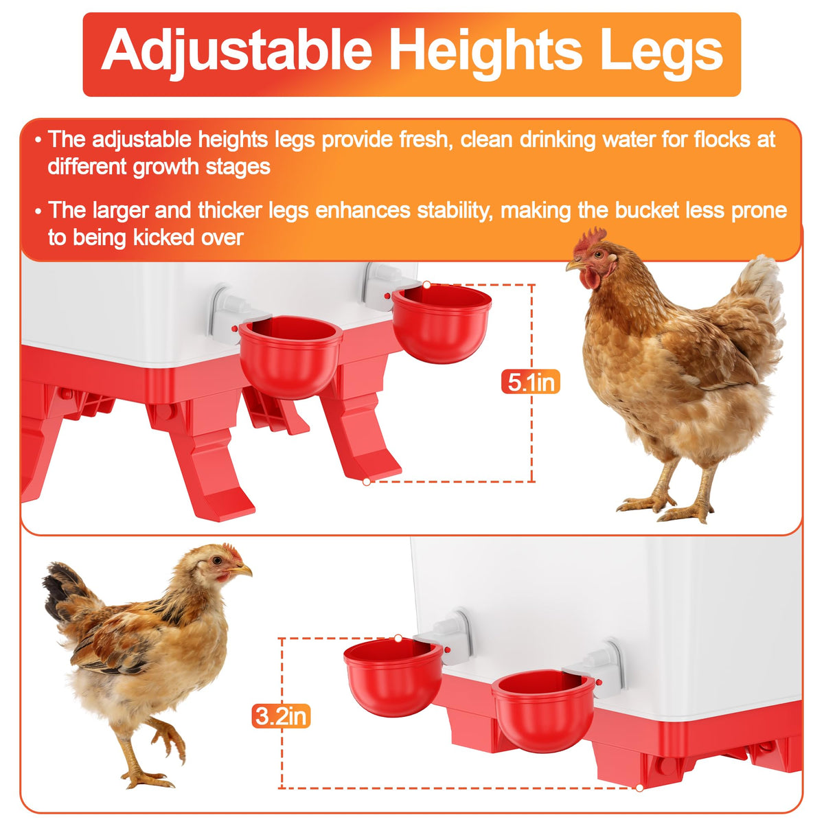 Anti roost cone helps keep the waterer clean between uses