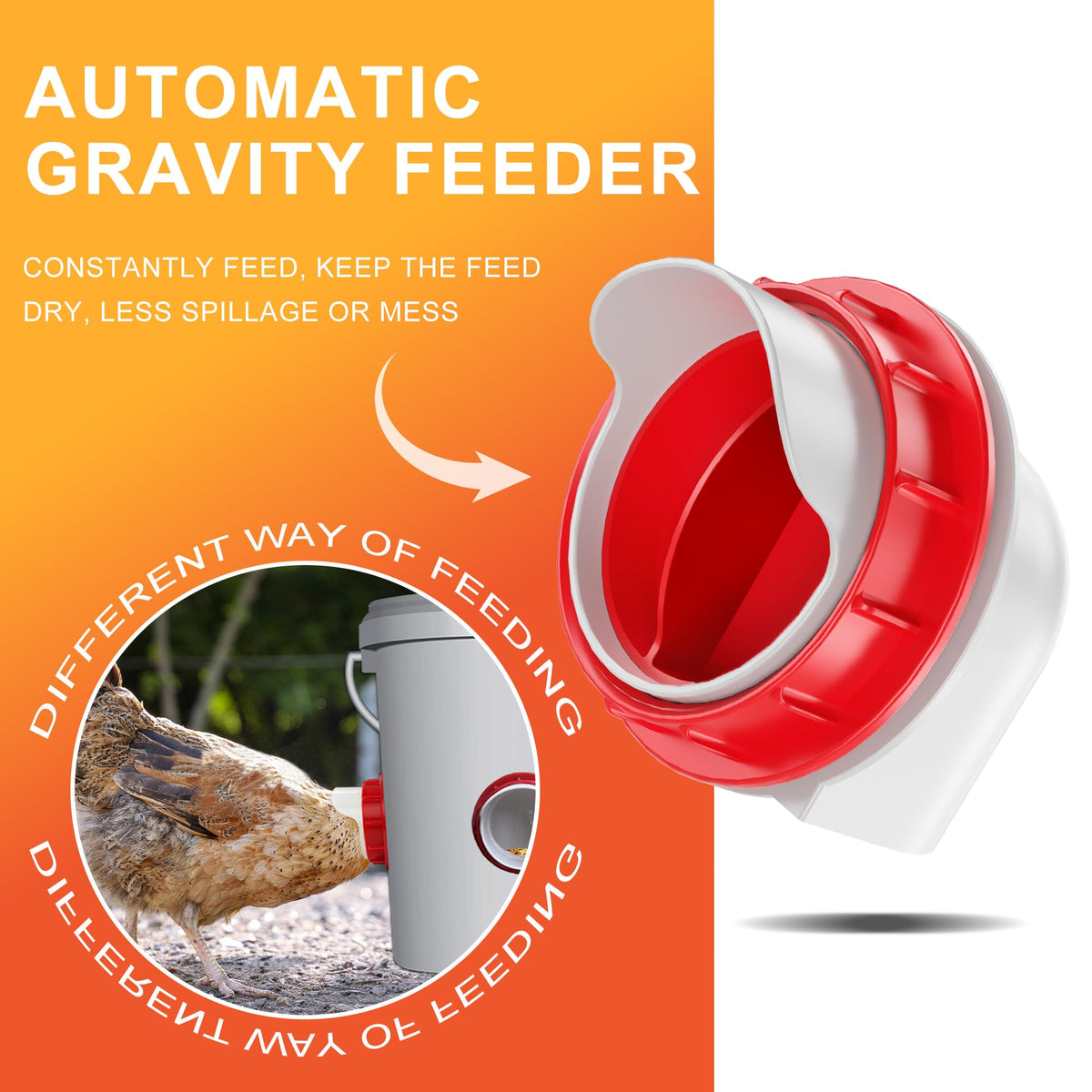 ZenxyHoC automatic feeder setup demonstrates easy gravity-fed operation.