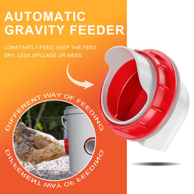ZenxyHoC automatic feeder setup demonstrates easy gravity-fed operation.
