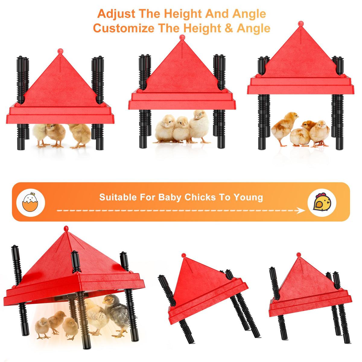 ZenxyHoC brooder plate cone attachment demonstrates anti roost design