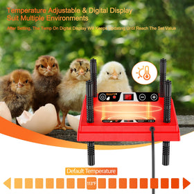 ZenxyHoC brooder plate stable four leg base prevents tipping