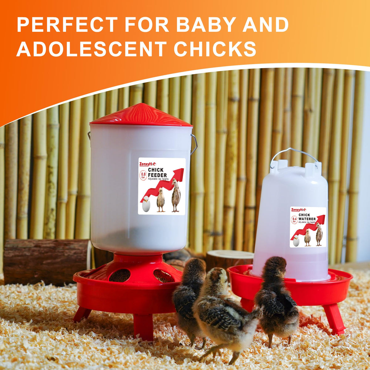 ZenxyHoC anti-drown design in water trough helps protect tiny chicks.